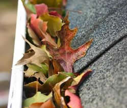 Archer Roofing Images