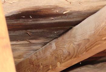 Archer Roofing Images